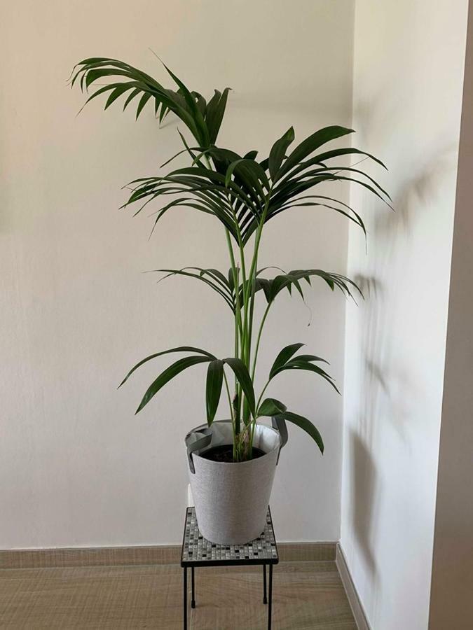 Apartamento Vitamine Zee